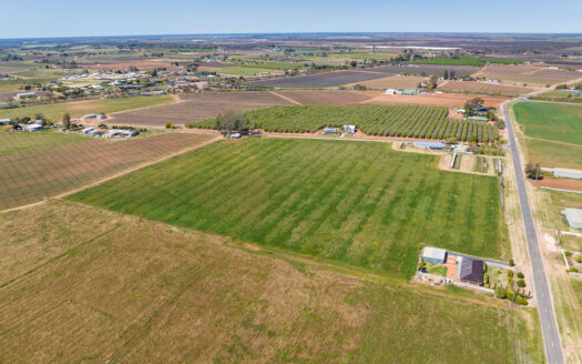 7 Leachs Road, Red Cliffs VIC 3498