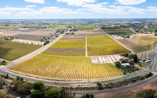 190 Dow Avenue, Irymple, VIC 3498