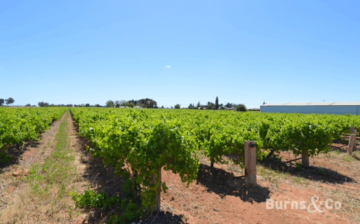 393 Karadoc & 92 Fifth Street Nichols Point, Vic